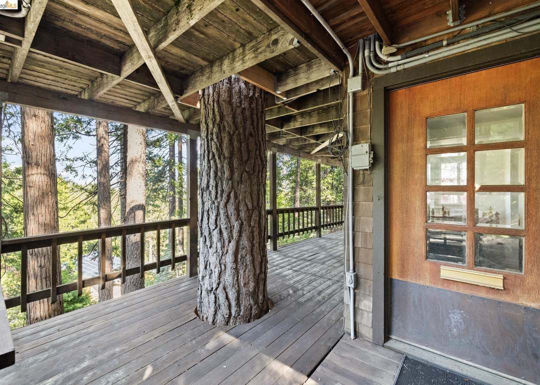 Covered deck with a mature pine tree growing through it