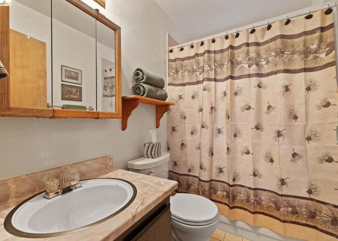 Bathroom with pine cone shower curtain