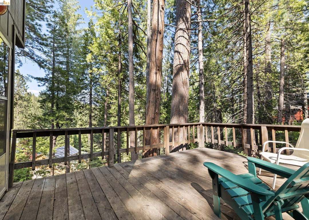 Deck with Adirondack chairs surrounded by tall Sierra Nevada pines