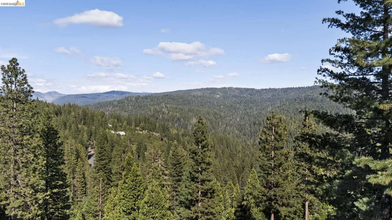 Sweeping mountain and forest view of the Sierra Nevada foothills from the property