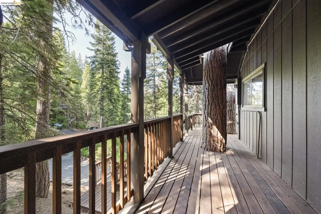 Covered deck with a mature pine tree growing through the railing